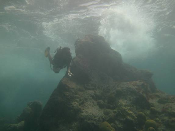 Mergulhando bem próximo à superfície e às ondas, no litoral sul de Bermuda